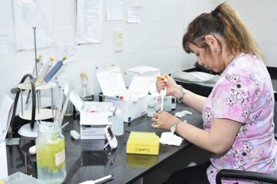 Hasta el momento no se registraron casos de dengue en la provincia