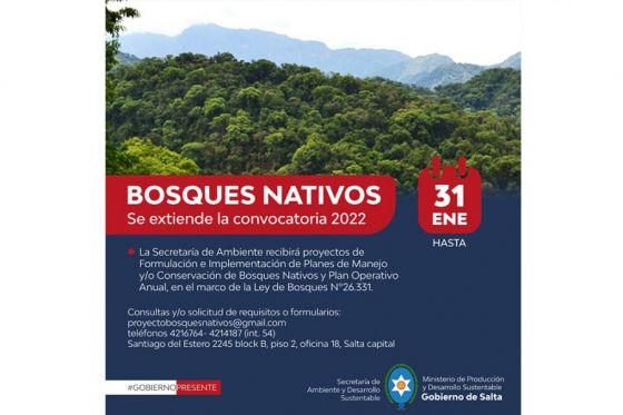 Últimos días para la presentación de proyectos de Manejo y Conservación de Bosques Nativos