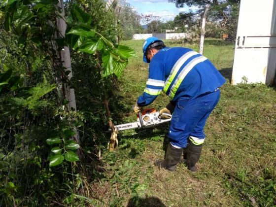 Operativo de limpieza y acondicionamiento en predios de Aguas del Norte