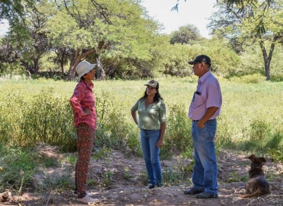 Relevamiento a pequeños productores de Cafayate afectados por el desborde del río las Conchas