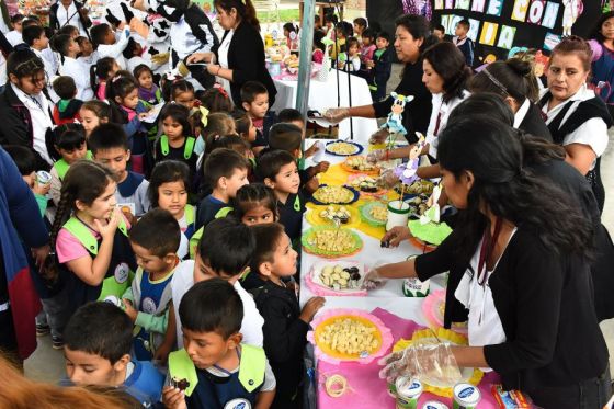 Este año la Copa de Leche se distribuye en 185 escuelas de Salta capital