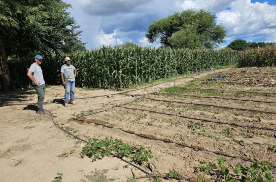 El Gobierno provincial y la Fundación Siwok potencian el desarrollo de huertas comunitarias