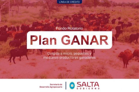 Productores ganaderos salteños obtendrán financiamiento para incorporar tecnología y aumentar la productividad