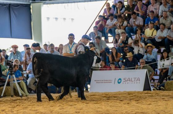 Salta acompañó a los productores ganaderos en el Congreso Mundial Brangus 2023