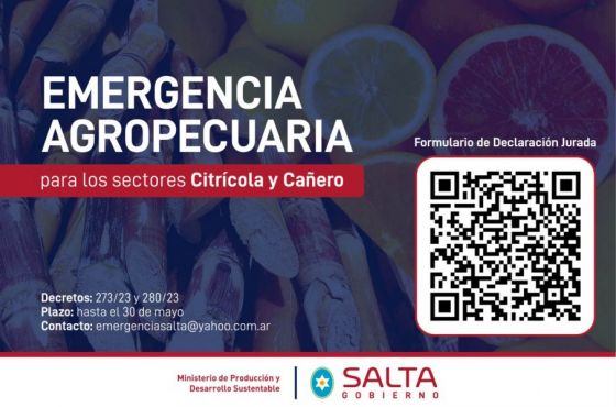 Emergencia para los sectores cañero y citrícola: el 30 de mayo vence el plazo para presentar declaraciones juradas