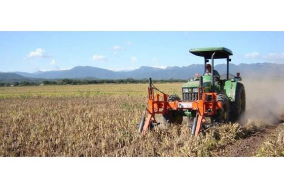 A pesar de la sequía histórica, arrancó la cosecha gruesa en Salta