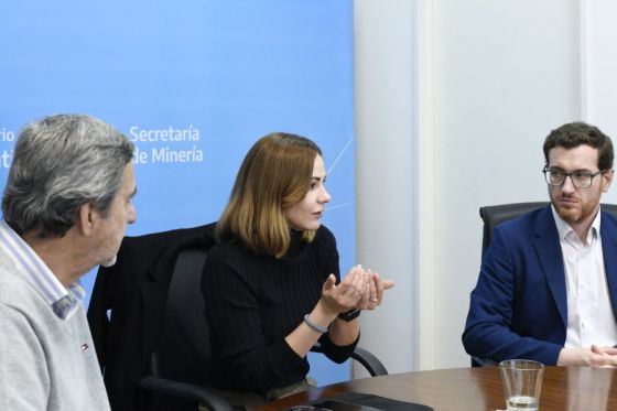 Salta participó en una nueva reunión de la Mesa Aurífera Exportadora