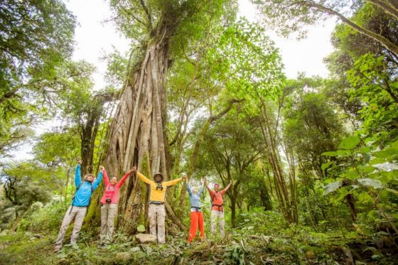 Turistas de Argentina y el mundo generaron un impacto económico de casi $1500 millones