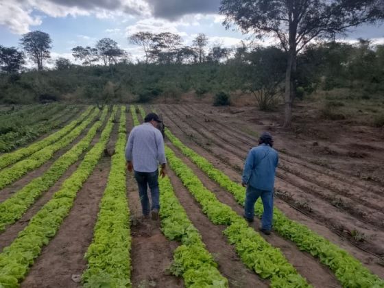 Desarrollo Social impulsa el trabajo comunitario en huertas originarias