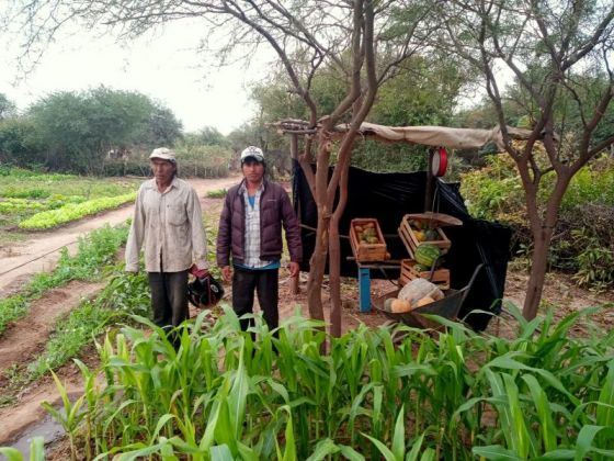 Importante relevamiento y asistencia a huertas y emprendimientos originarios en el norte provincial