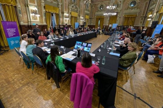 El cuidado y la violencia económica, ejes del Consejo Federal de las Mujeres