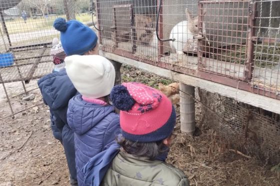 Niños del Hogar Casa Cuna disfrutaron de una visita educativa a la Granja El Arca de Noé