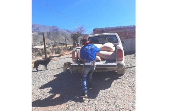 Pequeños productores de la Quebrada del Toro recibieron forraje para alimentación de ganado