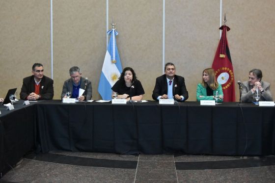 Se desarrolla en Salta la reunión ordinaria del Consejo Federal de Salud