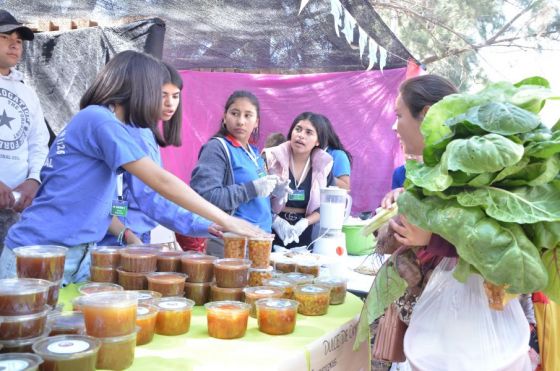 Escuelas Técnicas de Anta expusieron sus proyectos en la décima edición de la “Gran Expo Agro”