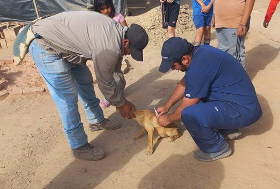 El Ministerio de Salud ejecuta una intensa campaña antirrábica y de salud animal en Santa Victoria Este