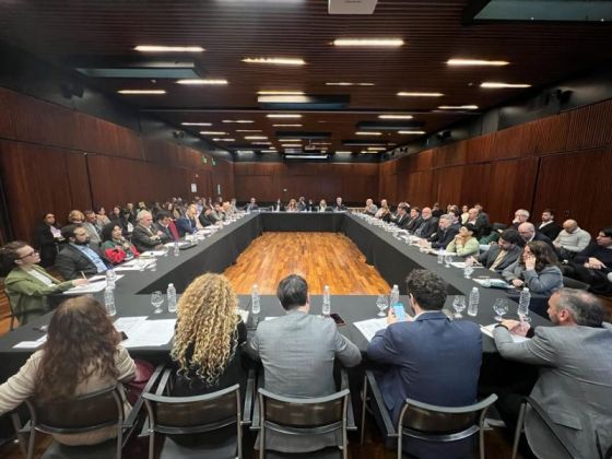 Salta participó en la primera reunión del Consejo Federal para el Desarrollo de la Industria del Cáñamo y Cannabis Medicinal