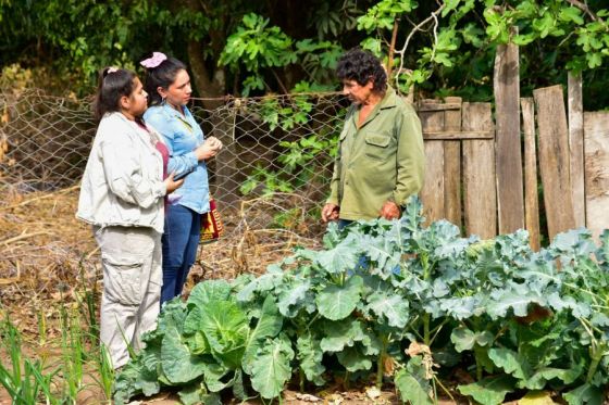 La Delegación de Asuntos Indígenas geolocalizó 509 huertas en el norte provincial