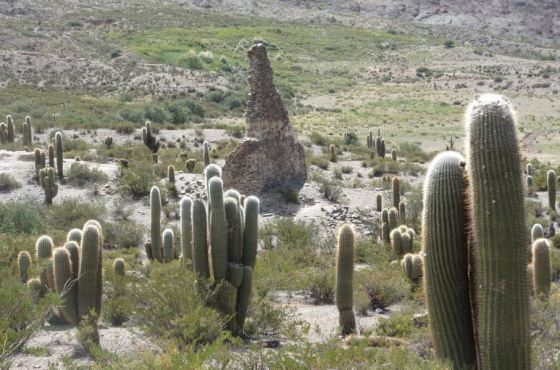 Qhapaq Ñan: Las obras de conservación en Potrero de Payogasta fueron destacadas por ANCSA en los Premios Gubbio - Sección América Latina y Caribe