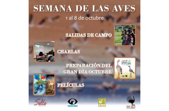 El Parque del Bicentenario celebra la Semana de las Aves con numerosas actividades