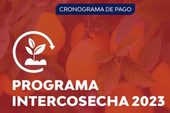 Comenzó el  pago del programa Intercosecha