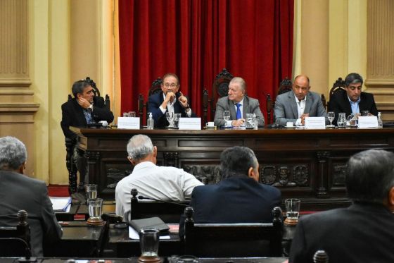 Presentaron en el Senado los proyectos para prorrogar el Presupuesto 2023 y las Emergencias Económica y Sociosanitaria