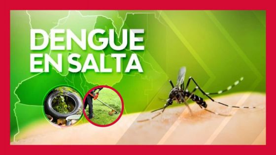 Advertencia nacional sobre mayor riesgo de propagación del dengue