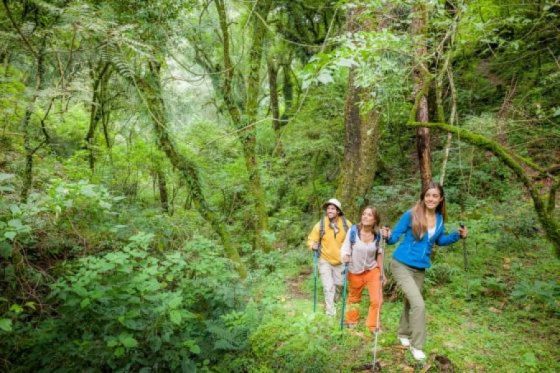 Salta te propone disfrutar de sus increíbles paisajes de manera segura