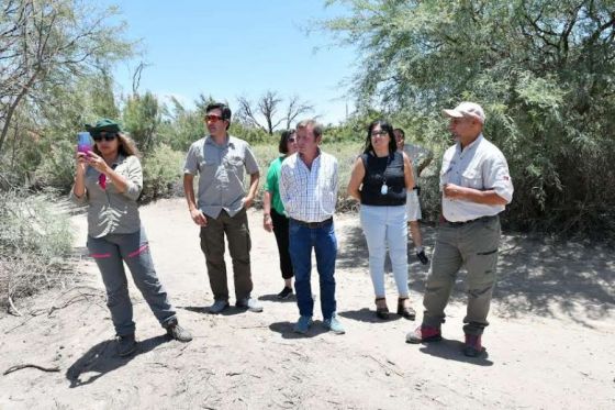 El Gobierno pone en marcha un plan de restauración ecológica en Cafayate