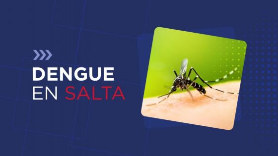 La mejor forma de prevenir el dengue es controlar la población del mosquito transmisor