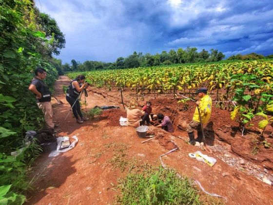 Rescates arqueológicos: trabajan con urnas halladas en Chicoana