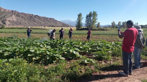 Cooperativa agropecuaria de Payogasta recibió capacitación y productos fitosanitarios