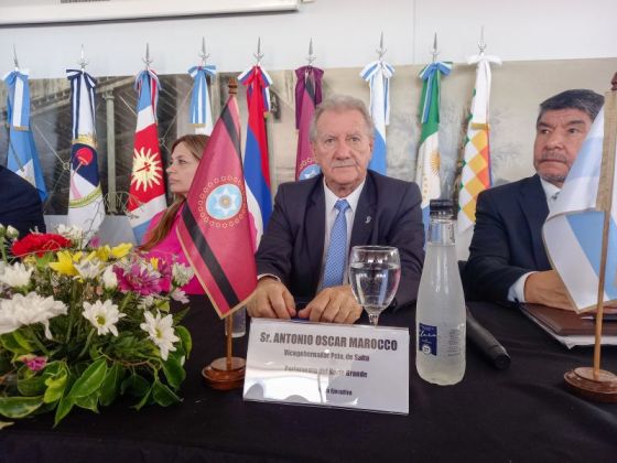 Convergencia Regional: Vicegobernadores del NOA y NEA en la Mesa Ejecutiva del Parlamento del Norte Grande