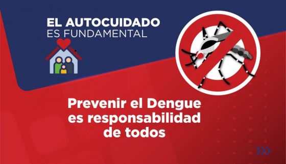 Dengue: ante los signos de alarma concurrir al sistema sanitario