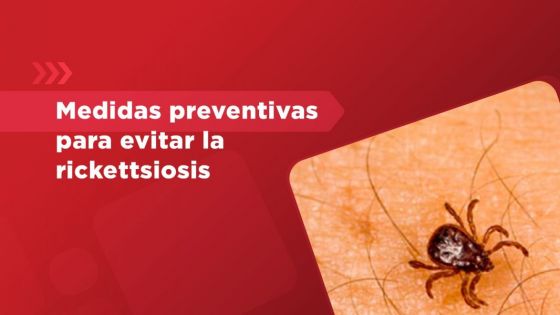 Medidas preventivas para evitar la rickettsiosis