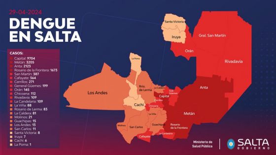 En Salta ya se confirmaron más de 18 mil casos de dengue