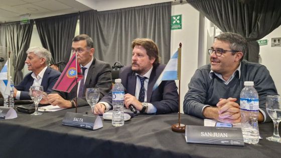 Salta participó del Consejo Federal de Seguridad Vial en Buenos Aires