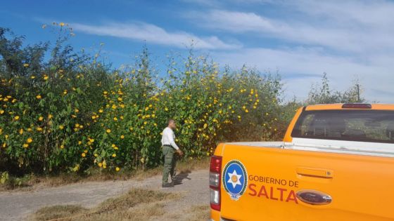 Relevamiento de Defensa Civil en zonas consideradas de riesgo de incendios forestales