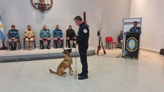 El Servicio Penitenciario capacitó a personal de las Fuerzas de Seguridad en Obediencia y Disciplina de Canes