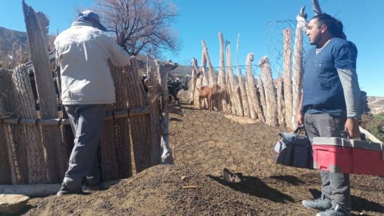 Pequeños productores de Payogasta recibieron capacitación en manejo de cultivos y sanidad animal