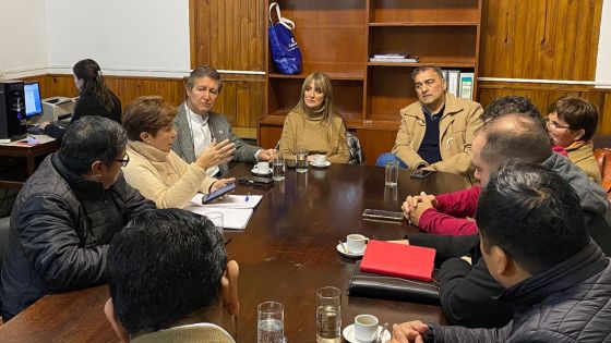 Mangione informó a diputados los avances en la implementación del plan de salud federal