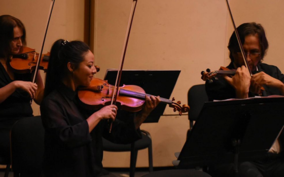 La Orquesta se presenta esta noche en el Teatro Provincial