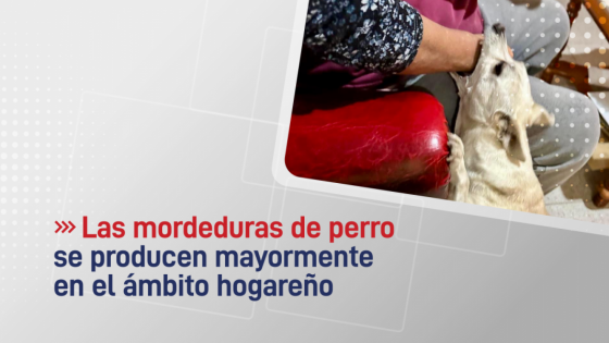 Las mordeduras de perro se producen mayormente en el ámbito hogareño