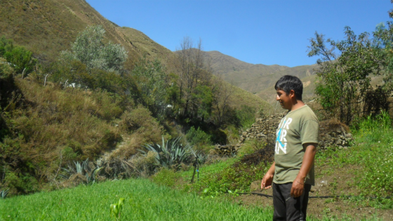 Jornada de trabajo con pequeños productores de Santa Victoria Oeste