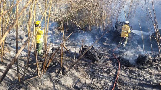 Defensa Civil sofocó incendios de pastizales en Capital y Cerrillos