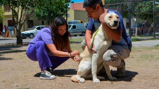 Hoy vacunarán contra la rabia a perros y gatos frente al hospital Señor del Milagro