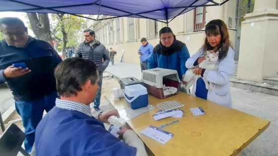 Inmunizaron a perros y gatos contra la rabia en la ciudad de Salta