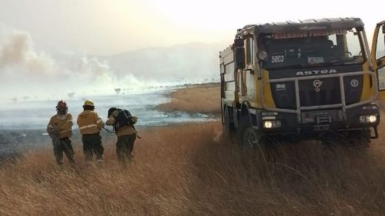 Defensa Civil realizó más de 40 intervenciones por incendios forestales en la provincia