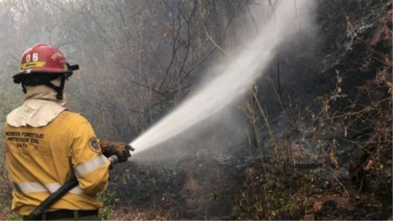 Temporada de riesgo de incendios forestales: el Gobierno insta a extremar las medidas de precaución