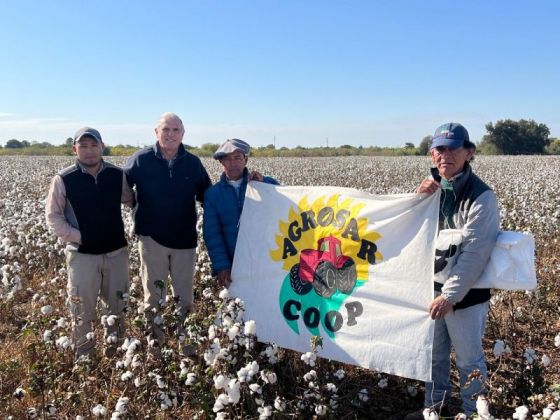 El Gobierno continúa apoyando a productores algodoneros de la provincia